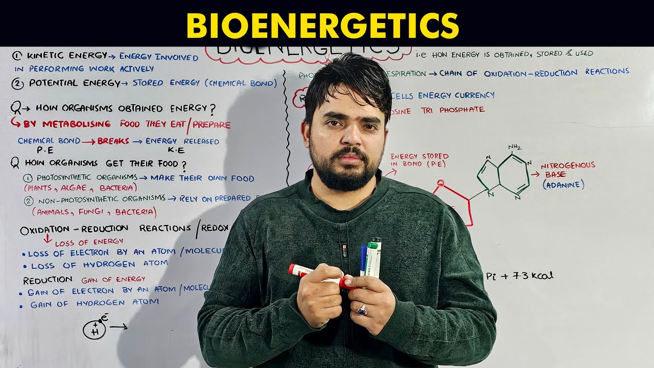 Bio-Energetics Full Lecture
