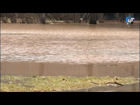 Ремонтным бригадам пришлось срочно ликвидировать потоп возле школы №9