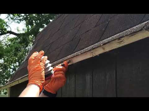 Carpenter Bees Destroy Shed & Bore Into Side of Home in Jackson, NJ