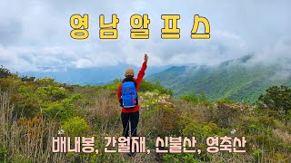 영남알프스 주능선 철쭉산행 #배내봉 #간월산 #신불산 #영축산 #shorts