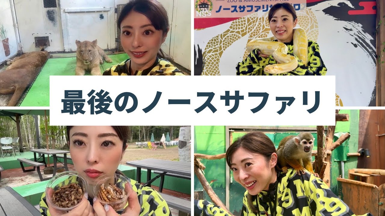 【生存確認】昆虫を食べ、ライオンと泊まり、ヘビを首に巻いた夜 in ノースサファリ