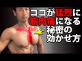ダンベルフライもケーブルフライもいらない。大胸筋の内側は作れる!秘密のテクニックで胸板を厚く!