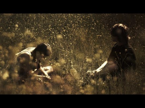 Waco, Texas but it transitions to A House In Nebraska by Ethel Cain