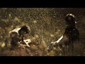Waco Texas But It Transitions To A House In Nebraska By Ethel Cain