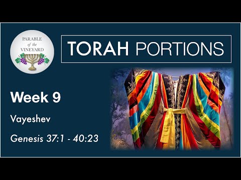 Torah Portions - Week 9 - Vayeshev - Genesis 37:1 - 40:23 (2020-2021)