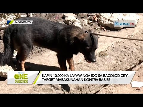 One Western Visayas: Kapin 10,000 ka layaw nga ido sa Bacolod City, target mabakunahan kontra rabies
