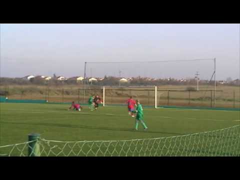 Goli na tekmi NK Naklo : TSV Übersee