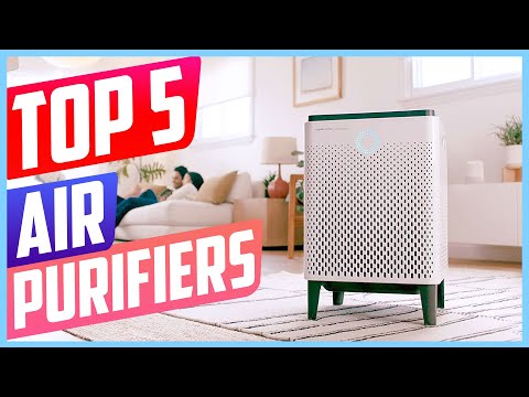 Best Air Purifiers in 2021 - Buying Guide