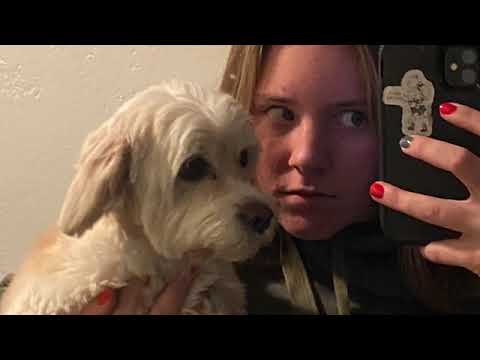 Hazel, why you should invest I pet smart charities