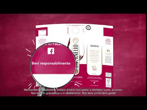 Lezioni di Etichetta con Tavernello | Bere responsabilmente