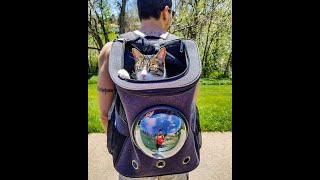 Sacsky - Sac à dos pour chat révolutionnaire