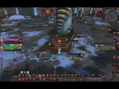 holy paladin, windwalker monk arena WoW