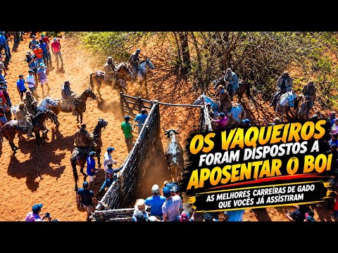 Acabou a fama do Boi Foguinho - Ourolândia/BA