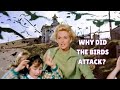 The Birds 1963 Explained