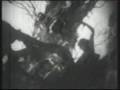 Enigma Sadeness Scratch Video