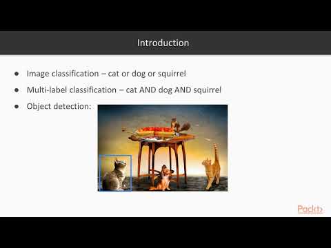 Hands On Machine Learning with Auto Keras Object Detection Basics | packtpub com