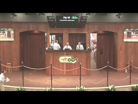 OBS June 2021 Sale Day 1