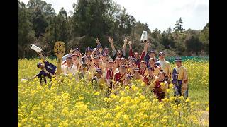 川棚菜の花よさこい　流し踊り　踊り陣 叶和　【4K】