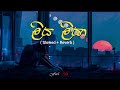 Liya Liyaa Slowed Reverb