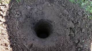 Ст Калининская Срочно всем!!!Аномалия в земле 😱