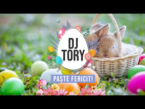 Alexandru Brădățan - Sunt Din Bucovina (DJ Tory Remix)