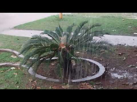 (FORTE CHUVA DE VERÃO ABENÇOADA POR DEUS) GUAJARÁ MIRIM, NO ESTADO DE RONDÔNIA-17/09/2026-QUINTA.