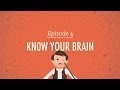 Understanding the Brain: The Link Between Neuroanatomy and Personality