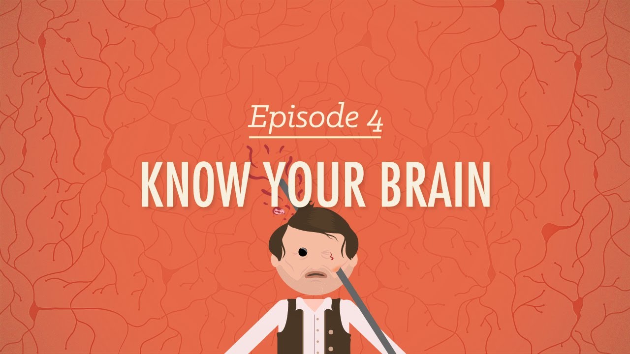 Getting to Know Your Brain