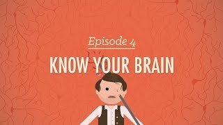 Meet Your Master: Getting to Know Your Brain - Crash Course Psychology #4