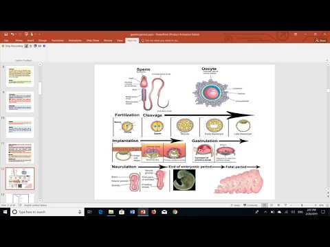 Introduction to embryology by Dr khaled shoghy