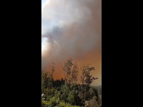 Alerta roja en Vichuquén por incendio forestal