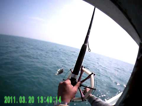 南龍一支釣松發號2011-03-20PICT0016.AVI