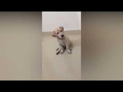 Old Memories : 2014 Bangalore Bravo | #Episode = 113#