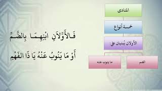 شرح نظم الآجرومية مع التشجير //140//الشيخ محمد محمود الشنقيطي image