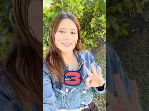 Las 3 de la semana - 11 de octubre