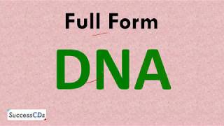 Full Form of DNA - What is the Full form of DNA?