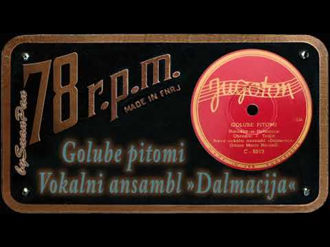 Vokalni ansambl »Dalmacija« - Golube pitomi