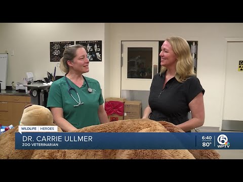 Palm Beach Zoo hosts first-ever teddy bear clinic this weekend - YouTube