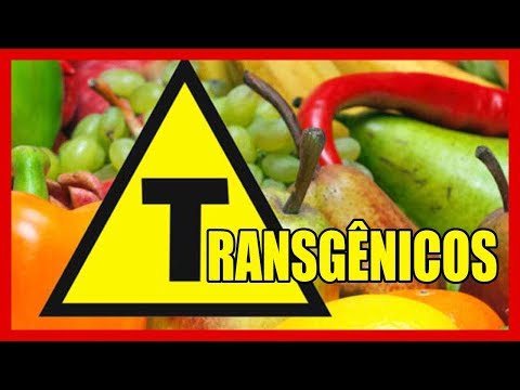 O que são transgênicos, como são feitos - exemplos - prós e contras