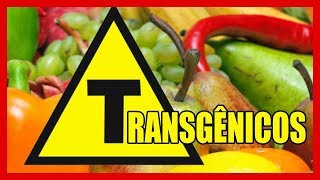 O que são transgênicos, como são feitos - exemplos - prós e contras