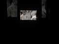 Closing To Doctor Who Lost In Time 2004 UK DVD Part 3