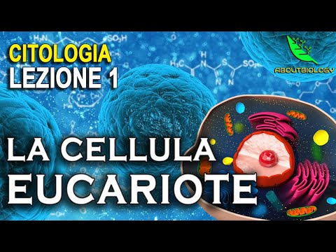 La CELLULA EUCARIOTE  -Citologia Lezione 1