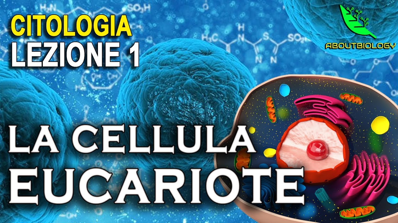 The EUKARYOTIC CELL - Cytology Lesson 1
