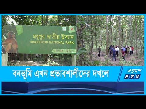 মধুপুর গড়ের বিশাল বনভূমির অনেকাংশই প্রভাবশালীদের দখলে