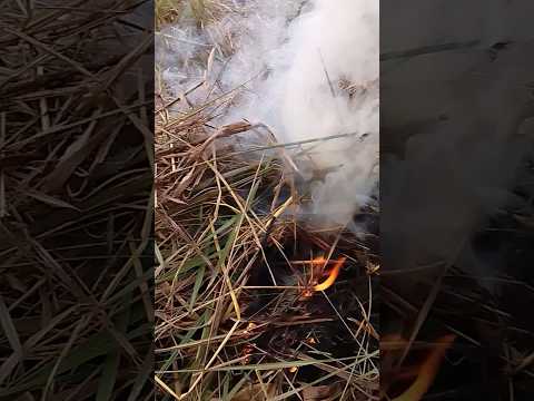 सनी देओल की मूवी : सुहागन के साथ हुआ अन्याय - जया प्रदा, सनी देओल और जीतेन्द्र की सुपरहिट मूवी (HD)