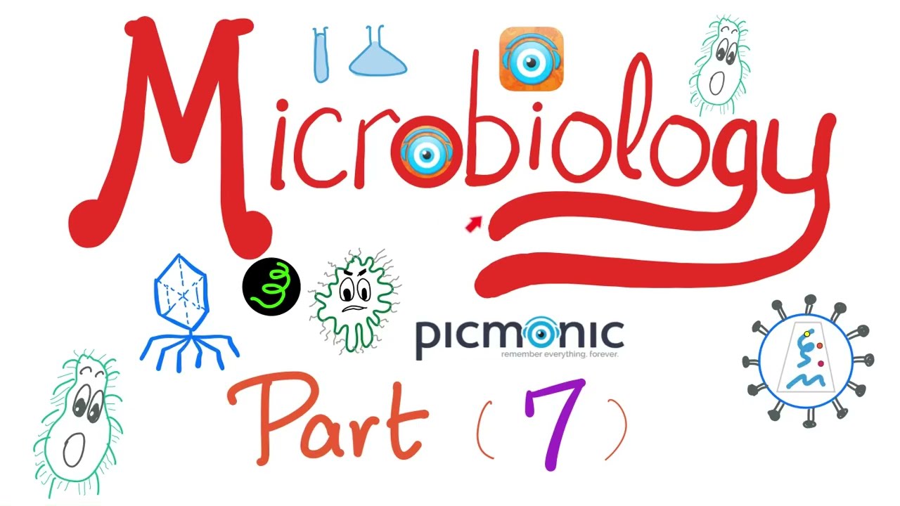 Microbiology -Gram (-) | Hemophilus, Bordetella, Pasturella, Brucella, Francisella -Picmonic -Part 7
