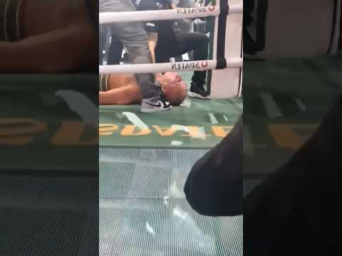 Силву вырубили в массовой потасовке! #Shorts #Силва #нокаут #потасовка