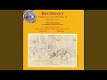 Piano Concerto No 5, Op. 73 ("Emperor") in E-Flat Major: Rondo: Allegro