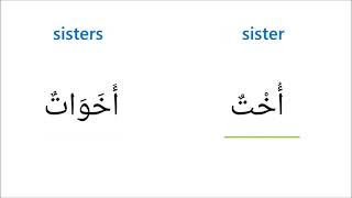Arabic Vocabulary: Family Members | Singular & Plural Form