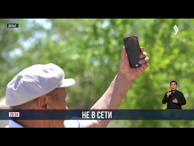 Не в сети